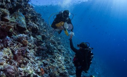 Veronica Radice and Craig Heatherington collecting coral samples in the Maldives. Credit: Christophe Bailhache/Underwater Earth